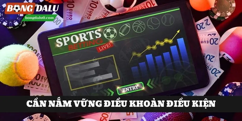 Nắm vững điều khoản điều kiện để người dùng biết giới hạn pháp lý và trách nhiệm