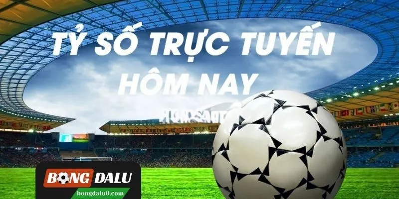 Livescore là công cụ không thể thiếu trong cá cược hợp pháp