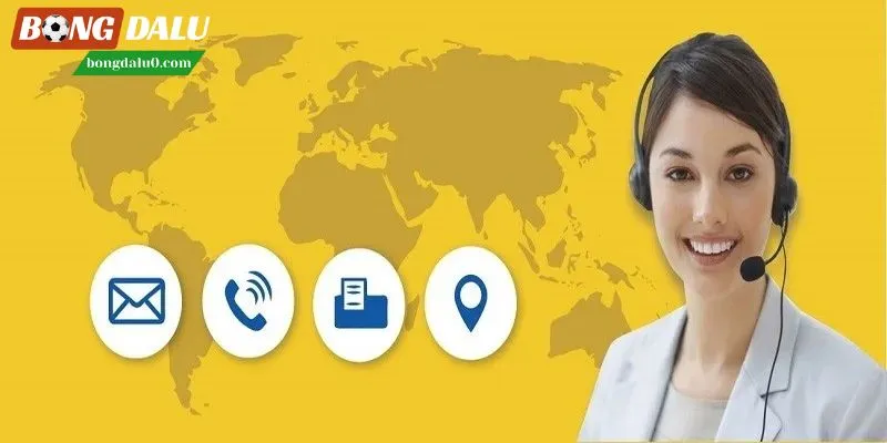 Các cách liên hệ Bongdalu nhanh nhất